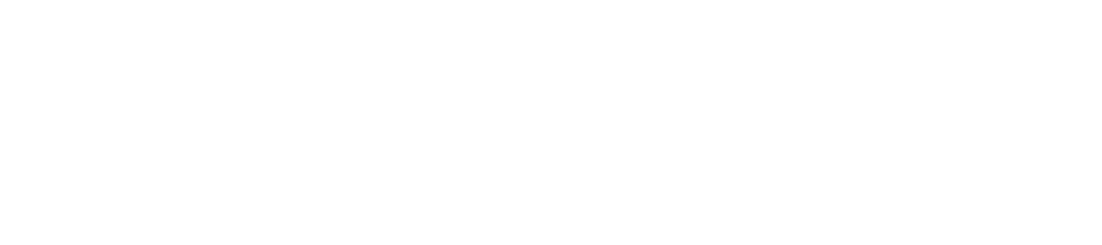 de Bruidsgasten Academie Logo